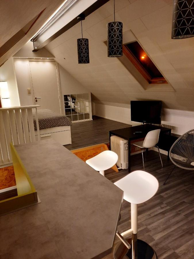 Studio Neuf Cote Campagne Agreable A Vivre. Braine-le-Comte Exterior foto